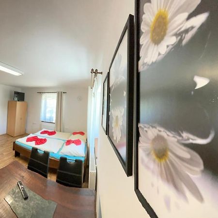 Apartment Nedrik Rokytnice nad Jizerou Eksteriør bilde